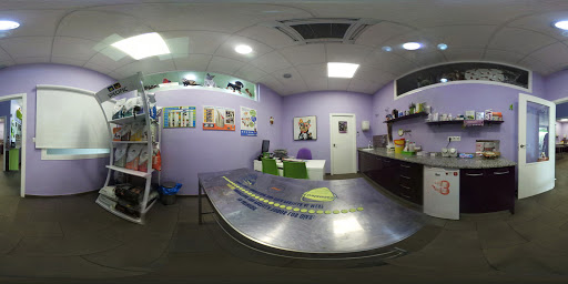 24h Hospital Veterinario Mascotasalud – Tomares