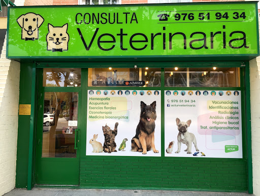 Actur Veterinaria – Zaragoza
