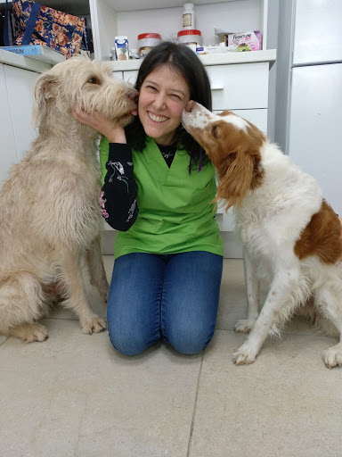 Acupuntura y Veterinaria Yayvet – Alicante