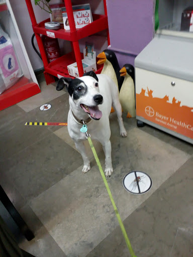 Aeropuerto Clínica Veterinaria – Córdoba