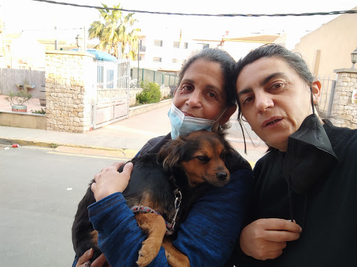 Agatameus Veterinaria – Deltebre