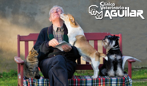 Aguilar Clínica Veterinaria – Burgos