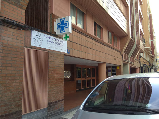 Alberto Cortés Clínica Veterinaria – Zaragoza