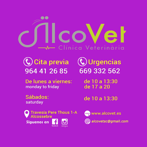 Alcovet Clínica Veterinaria Alcossebre – Alcossebre