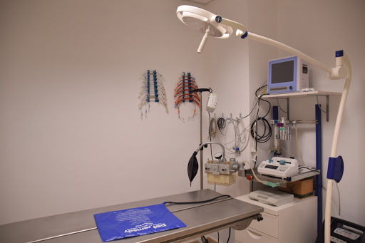 Alcovet’s. Clínica Veterinaria D’animals Exòtics I Domèstics – Alcover