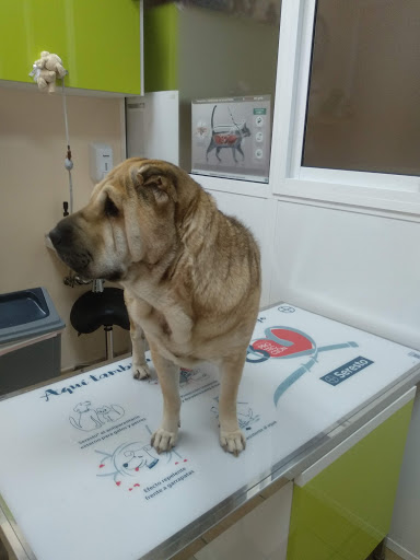 Aljaraque Centro Veterinario – Aljaraque