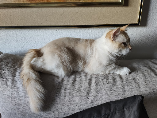 Altamira Clínica Veterinaria – Madrid