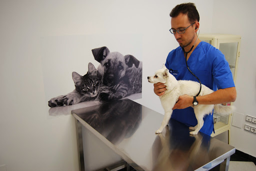Amics Centre Veterinari – Xàtiva