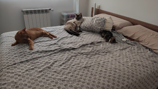 Anaga Centro Veterinario – Madrid