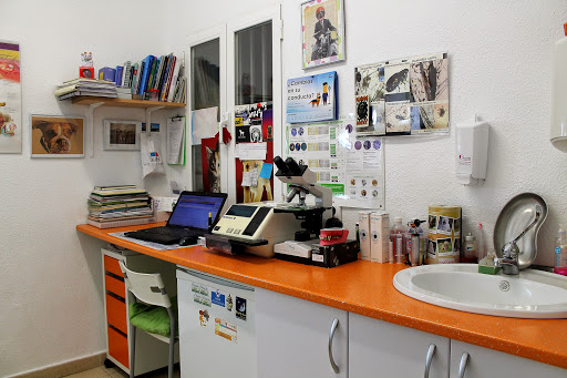 Ancora Veterinarios – Madrid