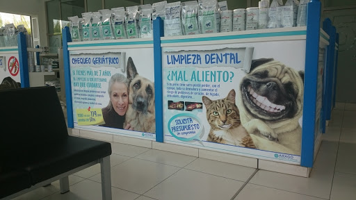 Anicura Aragó Hospital Veterinari – Palma