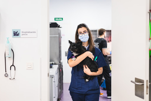 Anicura Valencia Sur Hospital Veterinario – Silla