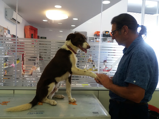 Anicura Vetamic Clínica Veterinaria – Cambrils