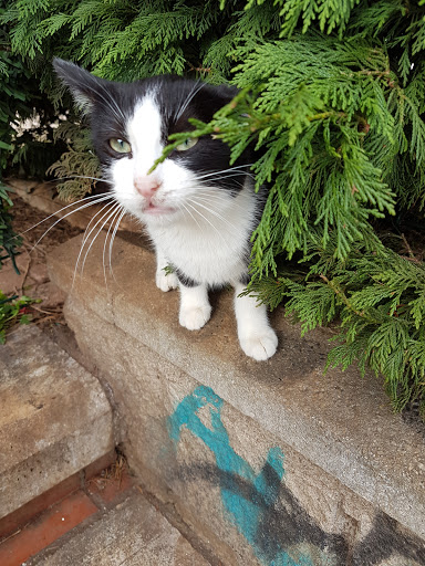 Animal Lago Veterinarios – Santa Cruz de Bezana