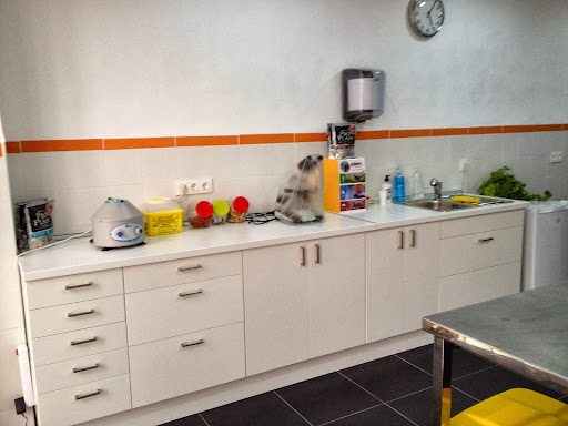 Animalets Consultorio Veterinario – Castellón de la Plana