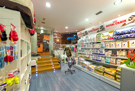 Animalia Deza Centro Veterinario – Lalin – Lalín