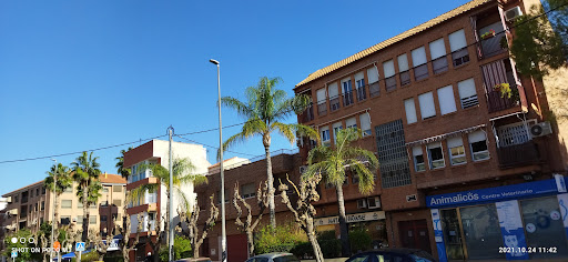 Animalicos. Centro Veterinario – Espinardo