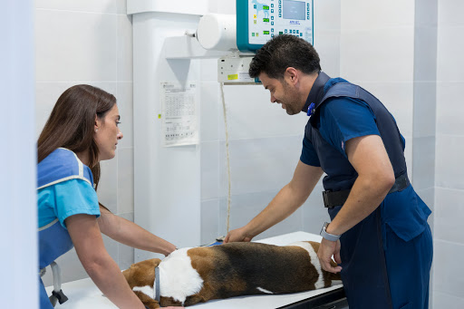 Animalicos Hospital de Día Veterinario – Cabezo de Torres