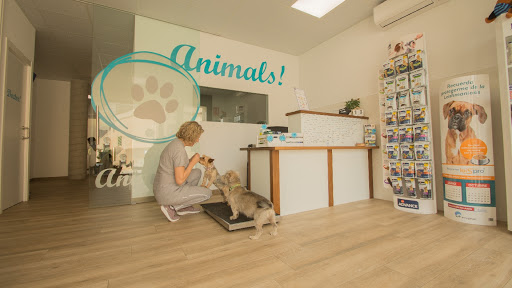 Animals! Serveis Veterinaris – S’Alqueria Blanca