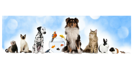 Anipals Veterinaria – Pals