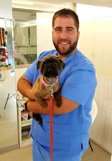 Anoia Veterinaria Piera – Piera