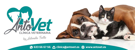 Antovet Clínica Veterinaria – Badajoz