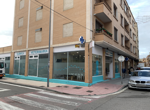 Aranda Clínica Veterinaria – Aranda de Duero