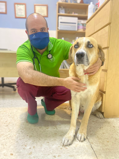 Ardila Centro Veterinario – Guillena