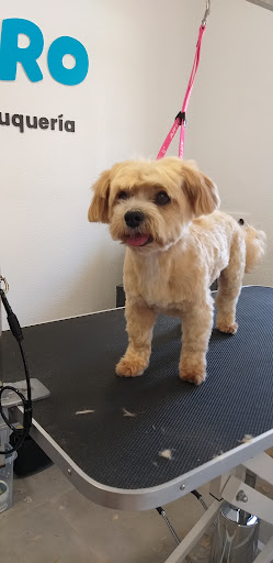 Aro Veterinaria – Colònia de Sant Jordi