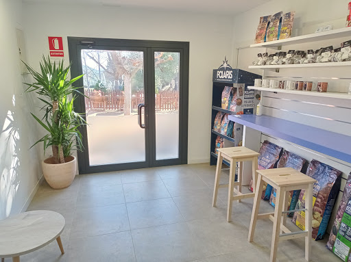 Arrels Veterinaria – Piera