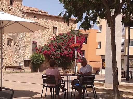 Asis Consultorio Veterinario Cunit – Cunit