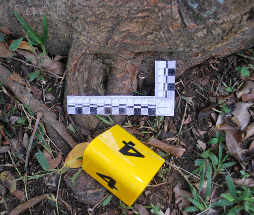 Asociacion Española de Veterinaria Forense (Avefo) – Madrid