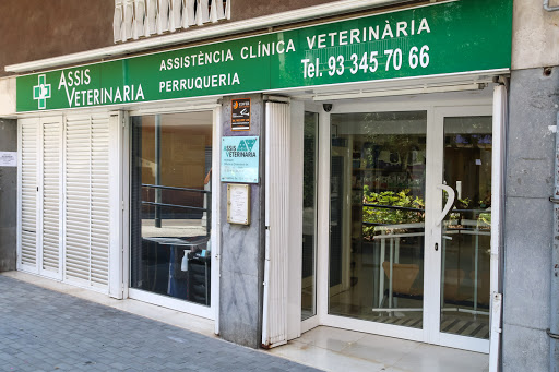 Assis Veterinaria Sant Andreu – Barcelona