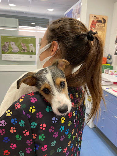 Aurora Centre Veterinari – Canet de Mar