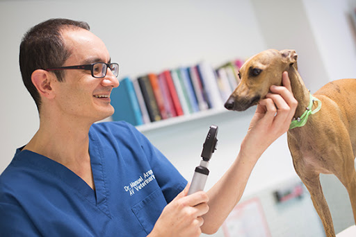 Av Veterinarios – Zaragoza