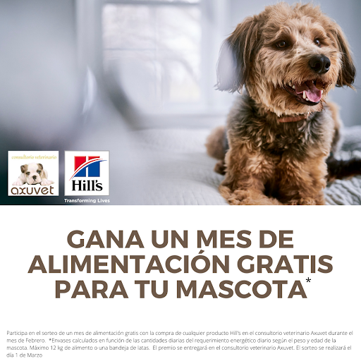 Axuvet Consultorio Veterinario – Redondela