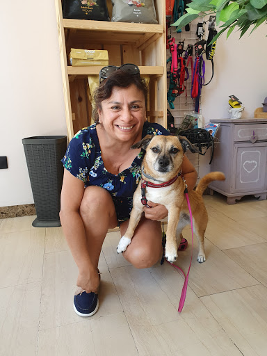 Azahar Clínica Veterinaria – Alcorcón