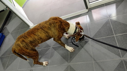 Baitara Veterinaria – Jijona