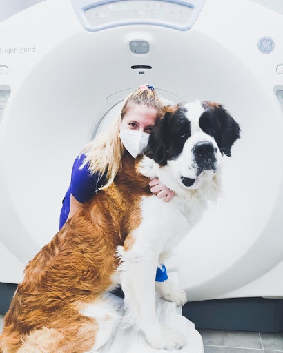 Balmesvet Veterinaris Hospital 24h – Barcelona