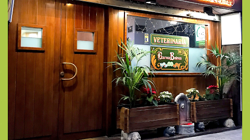 Barnabaires Centro Veterinario Clínica I Cirurgia D’ Alta Complexitat – Barcelona