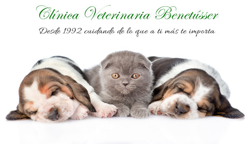Benevet Clínica Veterinaria – Benetússer