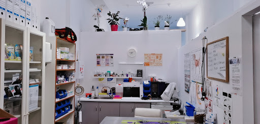 Biovet Tinajo Clínica Veterinaria – Tinajo