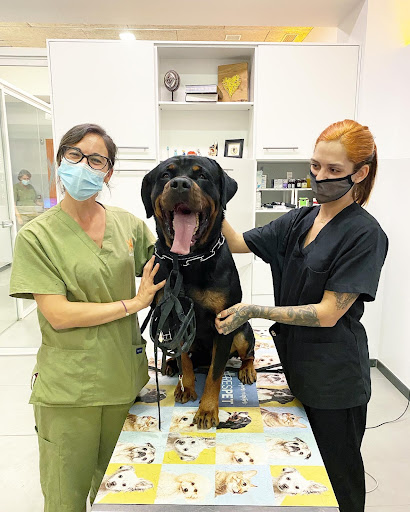 Bitxos Veterinaris Alella – Alella