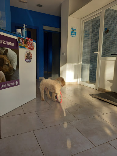 Blau Veterinaris Arenys de Mar – Arenys de Mar