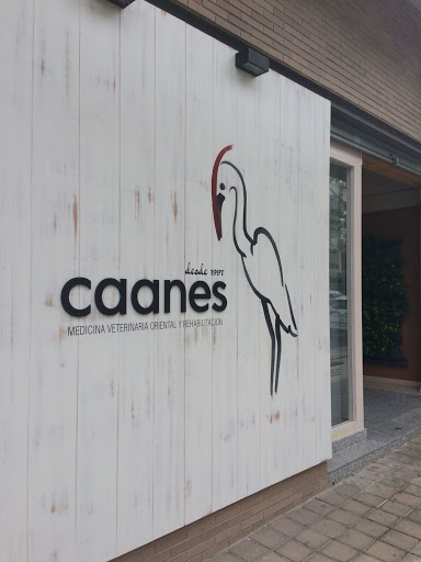 Caanes Medicina Veterinaria Oriental – Alicante