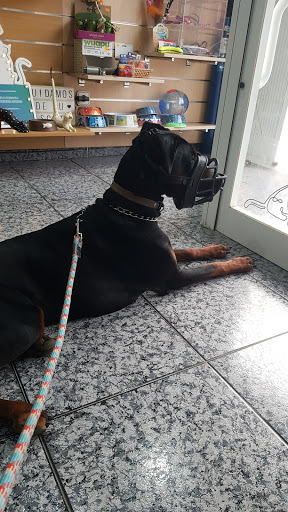 Can Racó Clíniques Veterinàries, Urgències 24/7 – Vila-seca