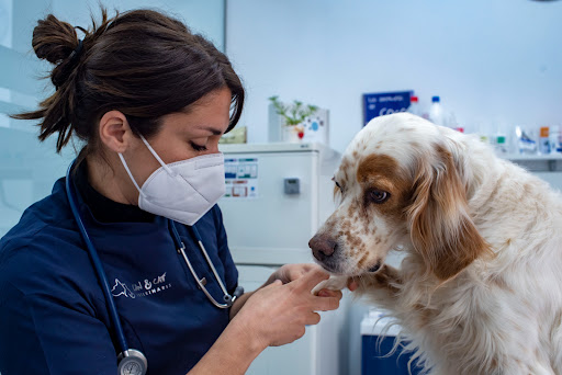 Can&cat Veterinaris – Vilanova i la Geltrú