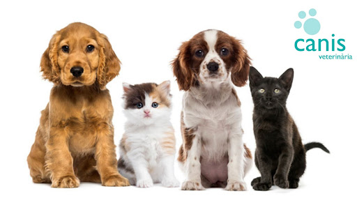 Canis Veterinaria – Sallent