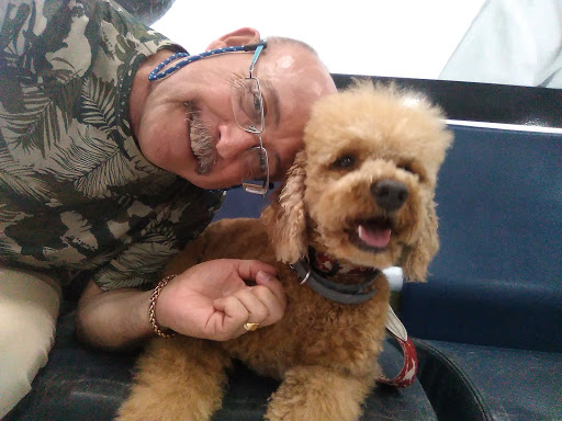 Canitas Centro Veterinario – Sevilla