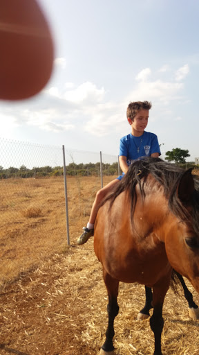 Cedevet Veterinaria Sll – Aznalcóllar